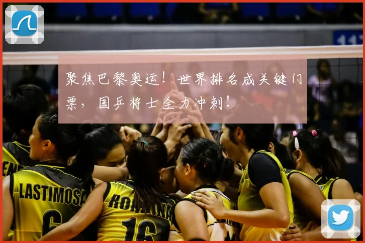 聚焦巴黎奥运！世界排名成关键门票，国乒将士全力冲刺！